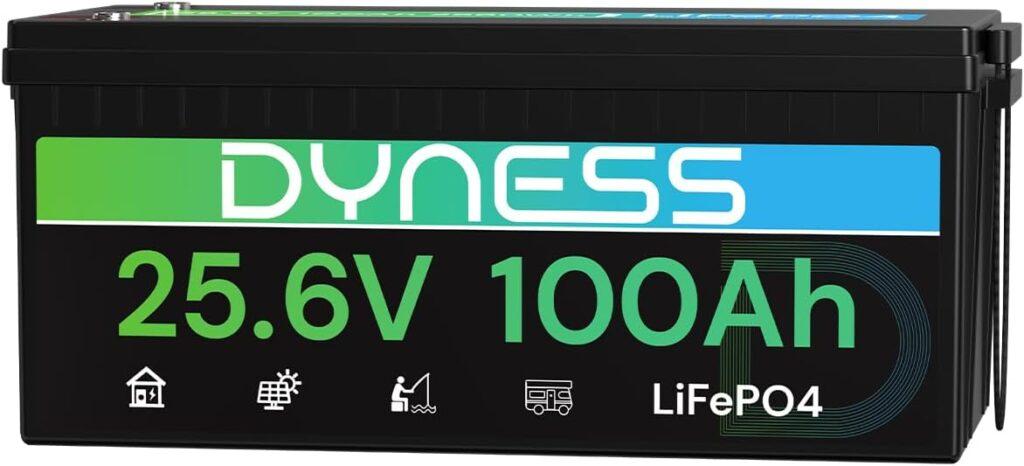 Dyness 24V 100Ah LiFePO4 Battery 25.6V Lithium Battery